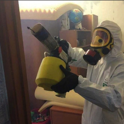 Уничтожение клопов в квартире. Печоры